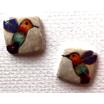 Humingbird Multicolor